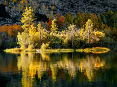 Eastern Sierra Fall Colors