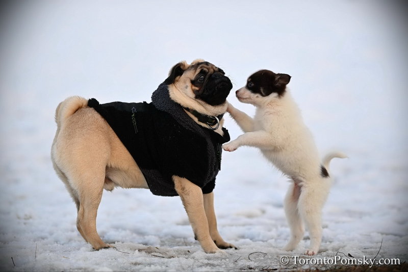 Feb9_22_125.jpg