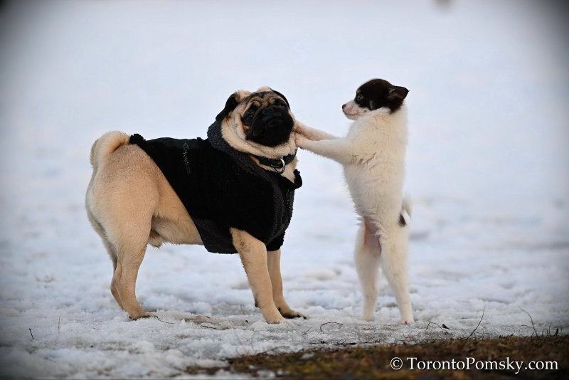 Feb9_22_127.jpg