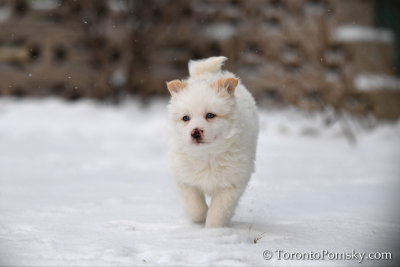 Feb18_19_145.jpg