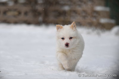 Feb18_19_148.jpg