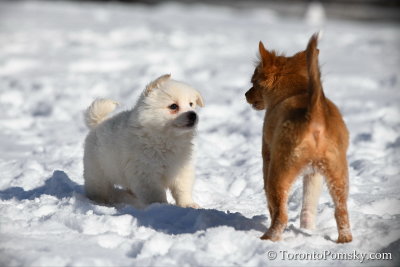 Feb18_19_087.jpg