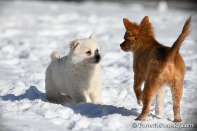 Feb18_19_088.jpg