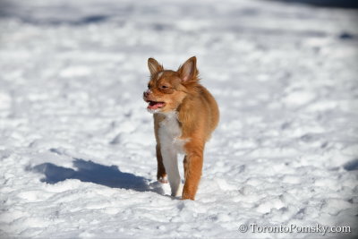 Feb18_19_090.jpg