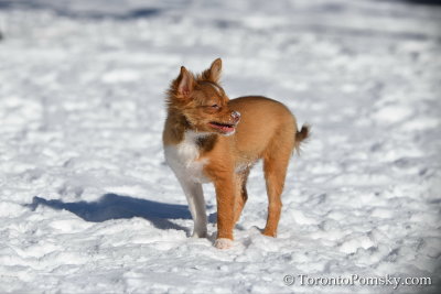 Feb18_19_095.jpg