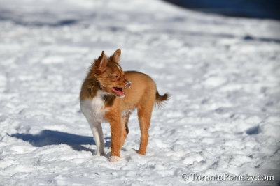 Feb18_19_096.jpg