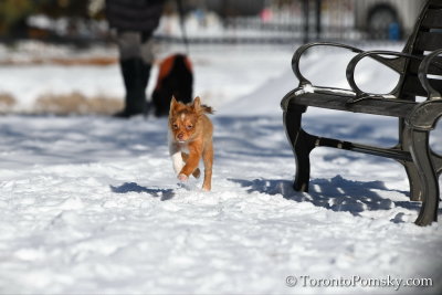 Feb18_19_105.jpg