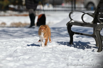 Feb18_19_106.jpg