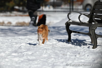 Feb18_19_107.jpg