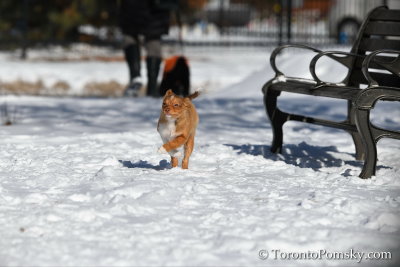 Feb18_19_108.jpg