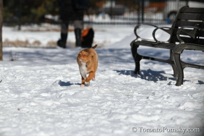 Feb18_19_109.jpg