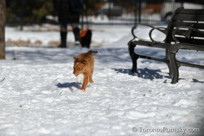Feb18_19_110.jpg