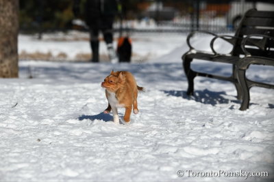 Feb18_19_111.jpg