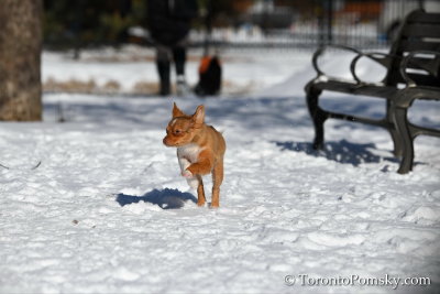 Feb18_19_112.jpg
