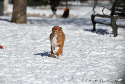 Feb18_19_113.jpg