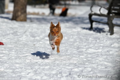 Feb18_19_114.jpg