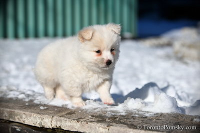 Feb18_19_125.JPG
