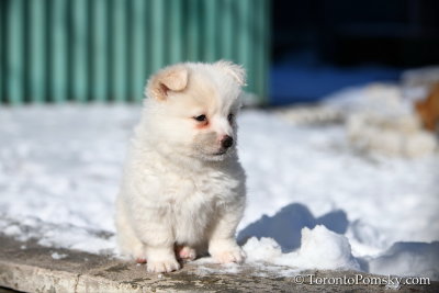 Feb18_19_126.jpg