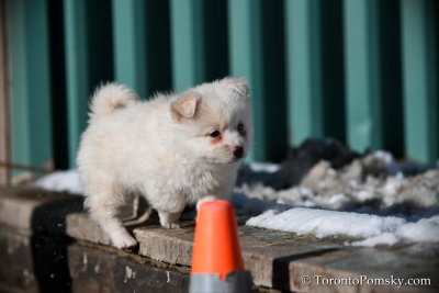 Feb18_19_128.JPG