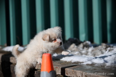 Feb18_19_130.JPG