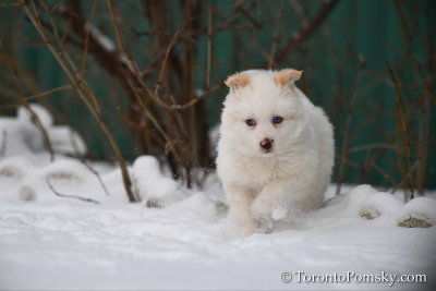 Feb18_19_133.jpg