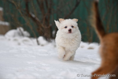 Feb18_19_134.jpg
