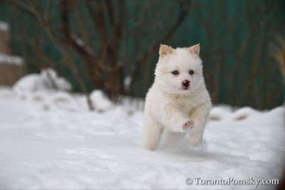 Feb18_19_135.jpg
