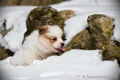Mar7_19_025.jpg