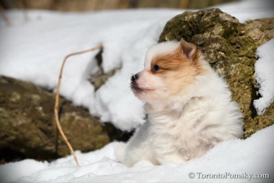 Mar7_19_030.jpg