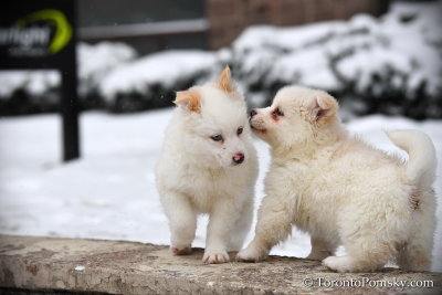 Feb27_19_211.jpg