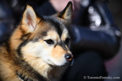 Mar17_19_251.jpg