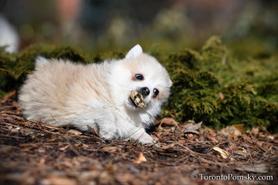 Mar17_19_070.jpg