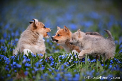 Apr22_19_325.jpg