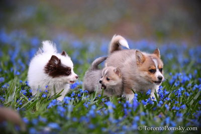 Apr22_19_328.jpg