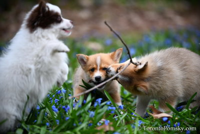 Apr23_19_156.jpg