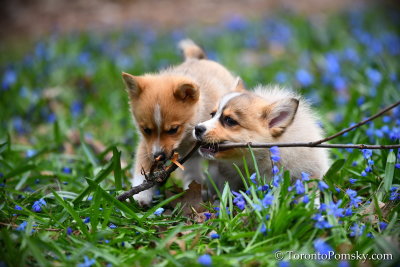 Apr23_19_160.jpg