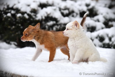 Feb13_19_238.jpg