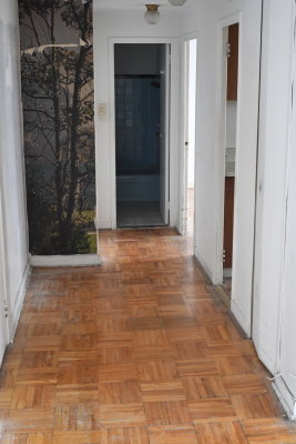 D53_7603.JPG