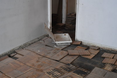 D53_7615.JPG