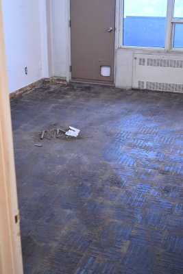 D53_7628.JPG