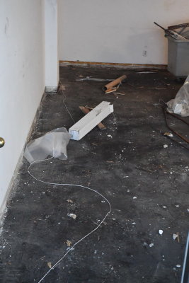 D53_7632.JPG