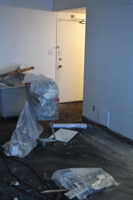 D53_7634.JPG