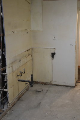 D53_7637.JPG