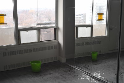 D53_7669.JPG