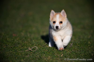 April2_20_028.jpg