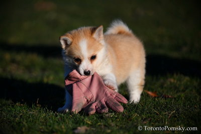 April2_20_039.jpg