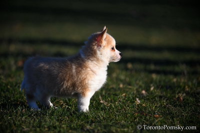 April2_20_048.jpg