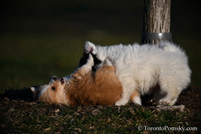 April2_20_049.jpg
