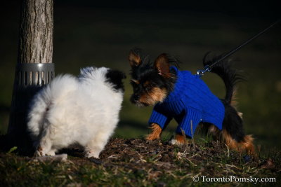 April2_20_056.jpg