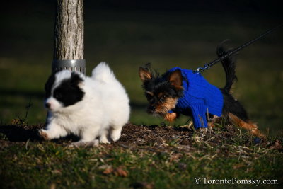 April2_20_058.jpg